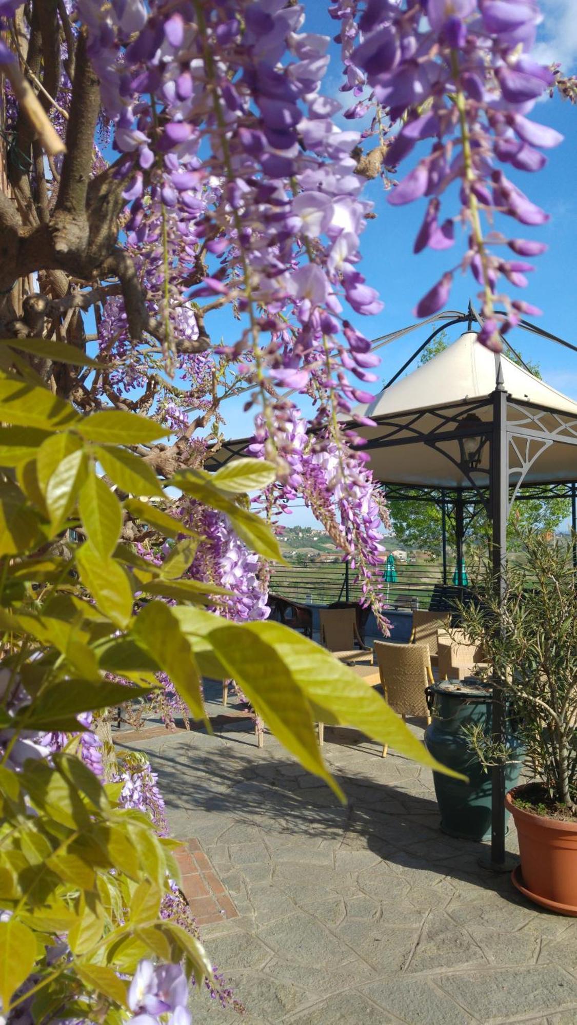 Locanda Del Boscogrande Montegrosso dʼAsti Extérieur photo