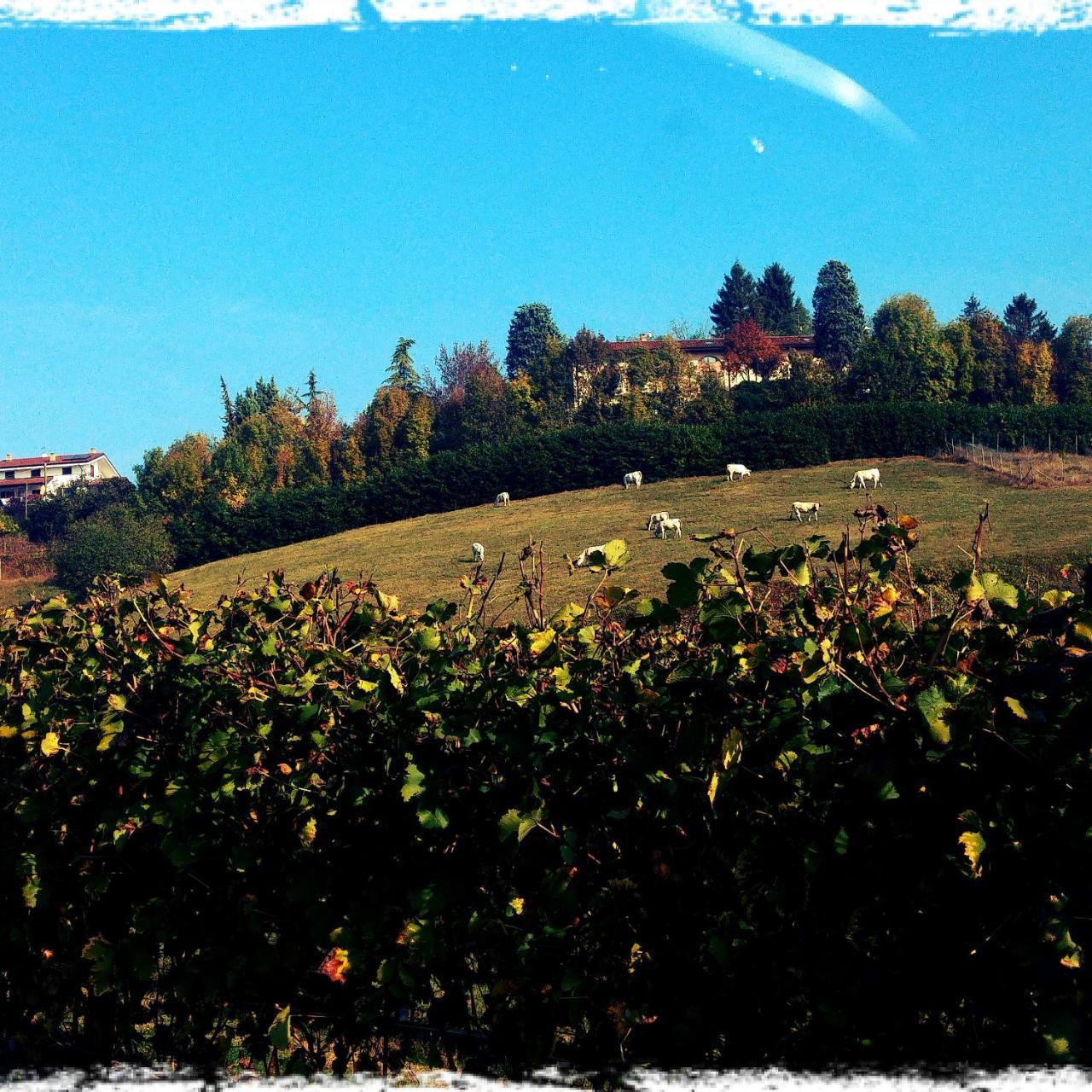 Locanda Del Boscogrande Montegrosso dʼAsti Extérieur photo